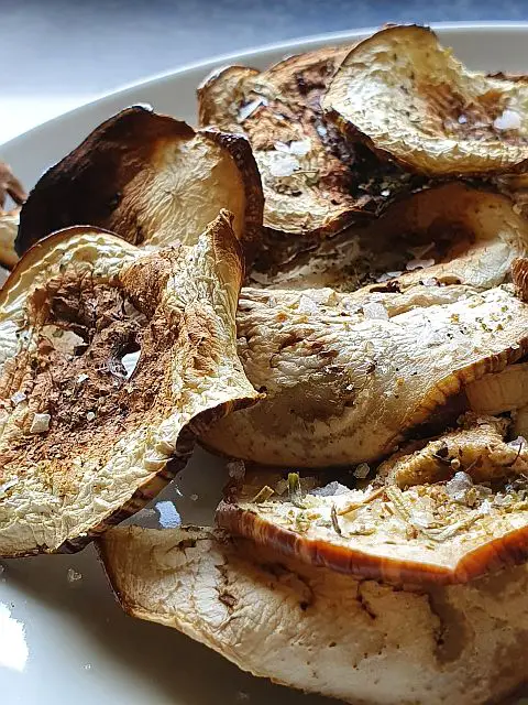 Eggplant Chips - Cooking Eggplant without frying