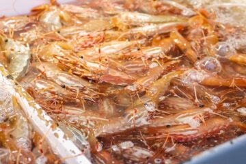 How long to boil shrimp frozen