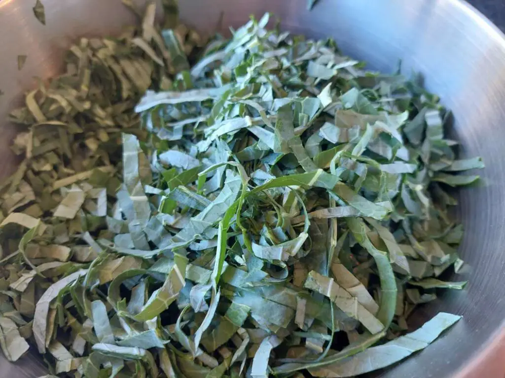 Shredded kale in bowl with salt