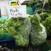 Cooking with Kale - Market stall with Kale on sale, ready to be enjoyed.