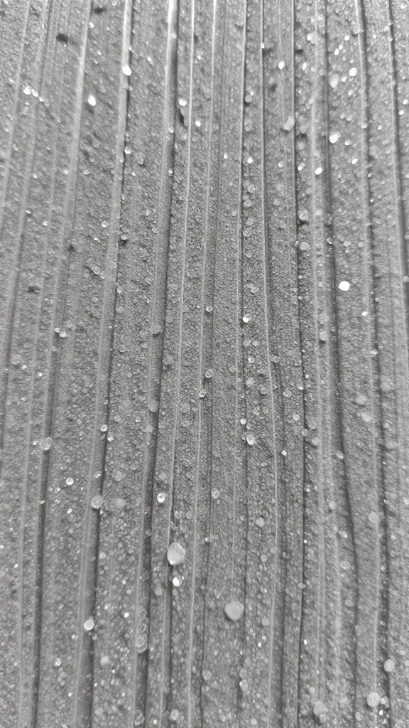 rib surface macro showing hydrated rub crystals